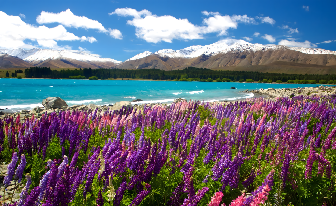 New Zealand 10-Day Tour
